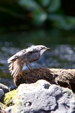 Stretching nach den vielen Tauchgängen