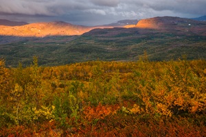 Abend im Fjell