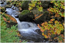 Steinklamm bei Spiegelau