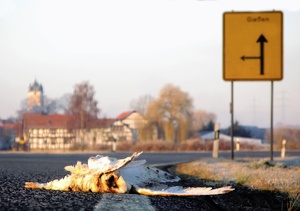 Vor der Haustür ...