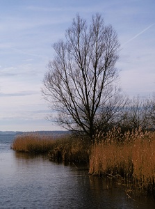 Hemmelsdorfer See V