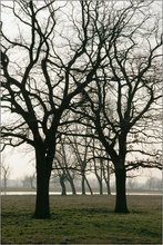 Durchblick