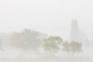 Nebel in der Ruhraue