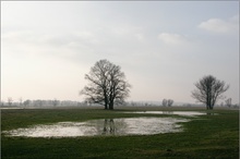 Flussniederung