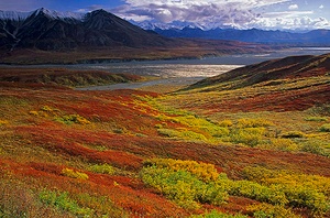 Indian Summer am Mount Eielson