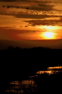 Sonnenuntergang im Moor