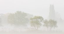 Nebel in der Ruhraue 2:1