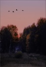 ~ Autumn ~