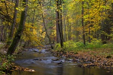 Herbstliches Ölschnitztal