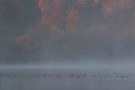 Herbstfarben von der Ruhr II