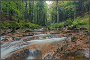 Herbst im Harz