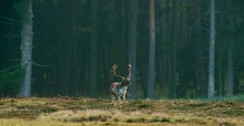 Vom Dunkeln ins Licht