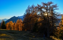 Sonnenuntergang bei den Lärchen