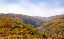 Herbstfarben wie in den letzten