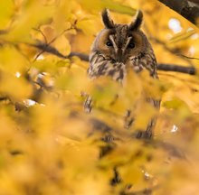 unverkennbar Herbst !