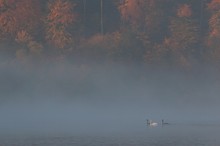 Herbstfarben von der Ruhr V