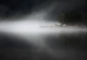 Frühnebel 2
