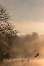 Herbsstimmung am See I