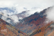 Schwarzwälder Wetterküche