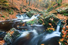 Herbst, herbstlicher, am herbstlichsten