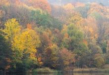 Spätherbst am See