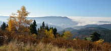 Blick über den Schwarzwald