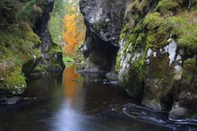 Die Haslach am Rechenfelsen