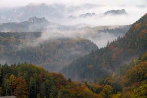 Herbstmorgen