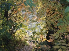 Herbstliche Kleinlandschaft,