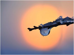 Eistropfen im Abendlicht