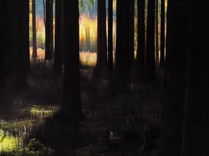 Lichtblicke