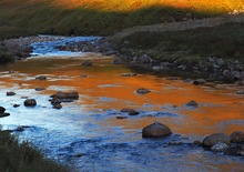 An der Biegung des Flusses