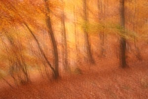 Herbst