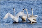 kleine Unterhaltung am See