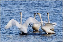 kleine Unterhaltung am See