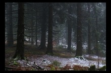 Winteranfang im Schwarzwald