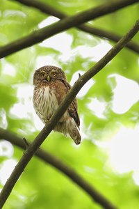 Hinter Gittern, oder ...