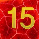 Über die wunderbare Macht der Freundschaft