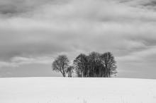 Hoffnung auf Schnee