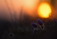 Ein Licht in der Dunkelheit....