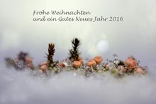 Weihnachtsgrüße