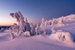 Das Riesengebirgsungeheuer oder Die Sehnsucht nach dem Schnee