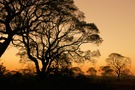 Abendstimmung im Pantanal