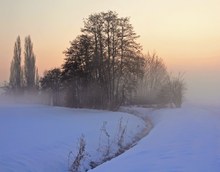 Winterbodennebel