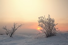 winterlicher Sonnenaufgang