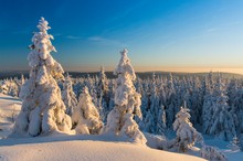 Winter auf dem Ochsenkopf