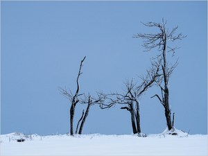 Geheimnisvolles Erzgebirge