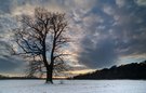 Winterabend auf dem Feld