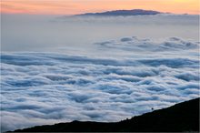 La Palma mit Palme