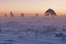 Schnee von gestern